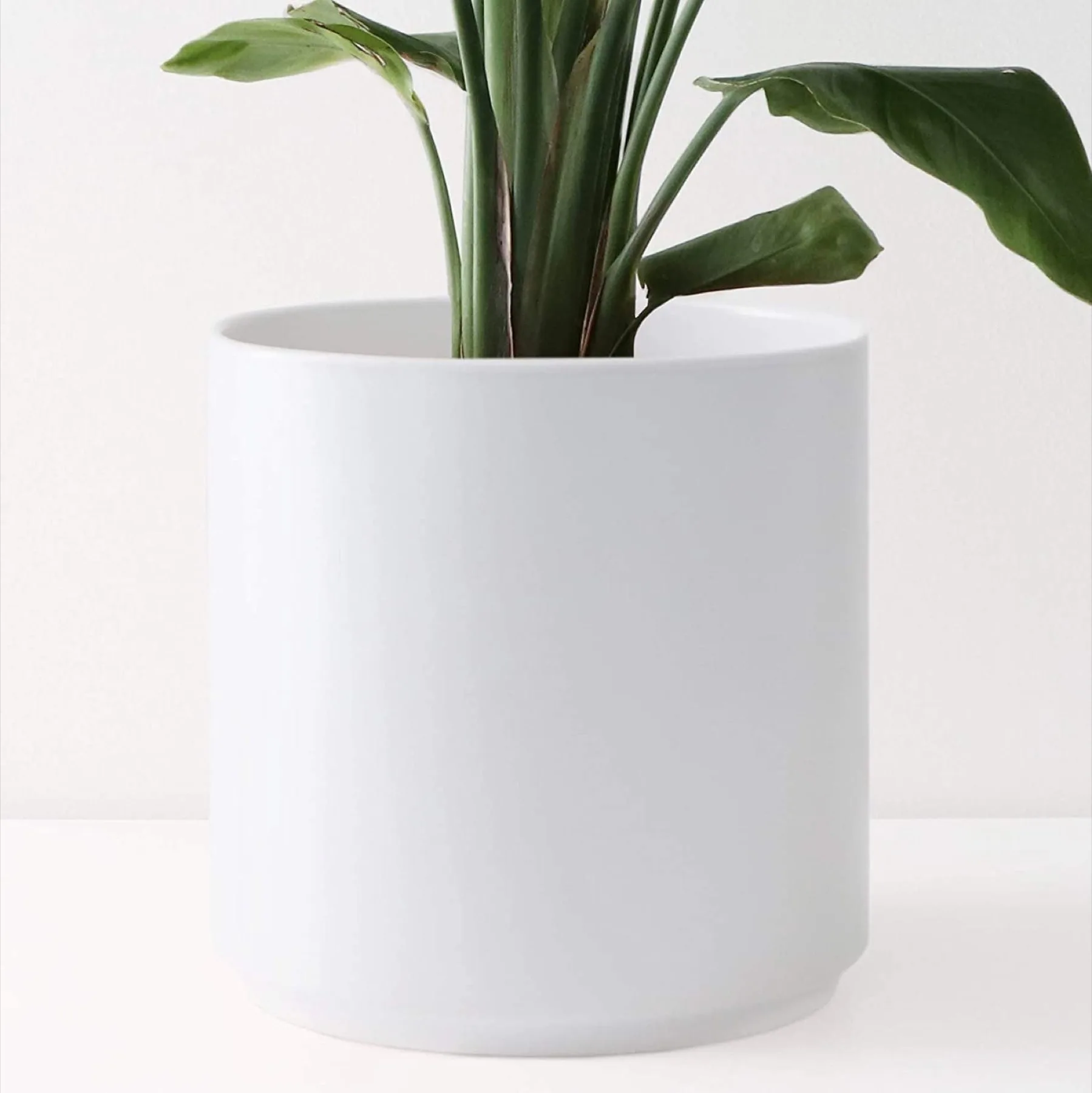 Peach & Pebble 10" Ceramic Planter, White