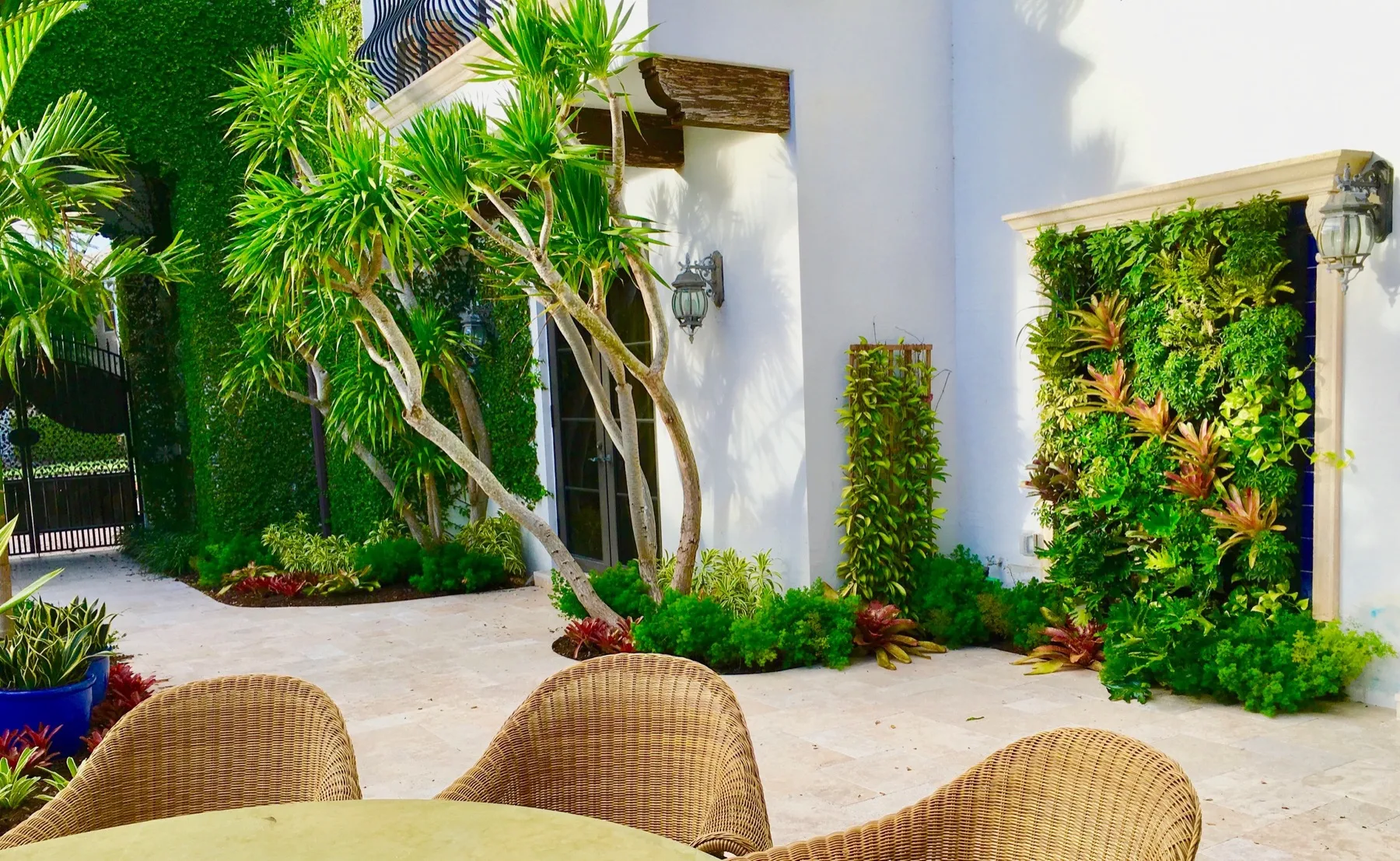 A live-edge walnut console set against a tropical wall mural