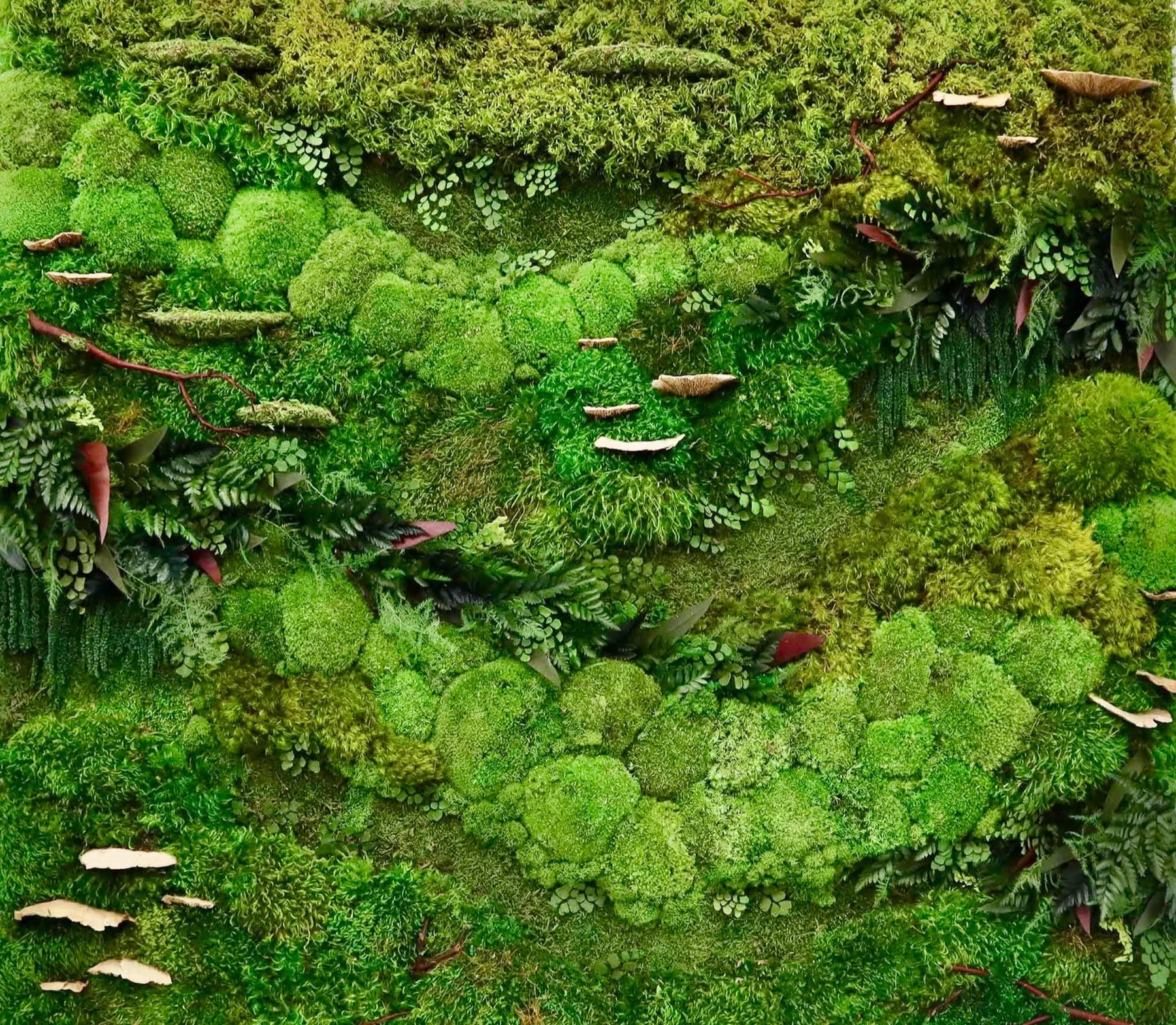 Moss Walls collection