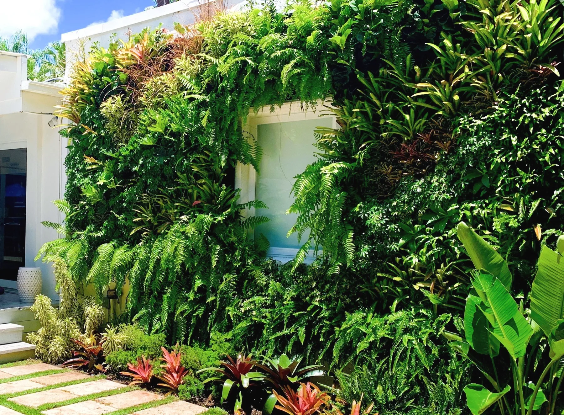 A plant-covered garden archway leading through a green corridor