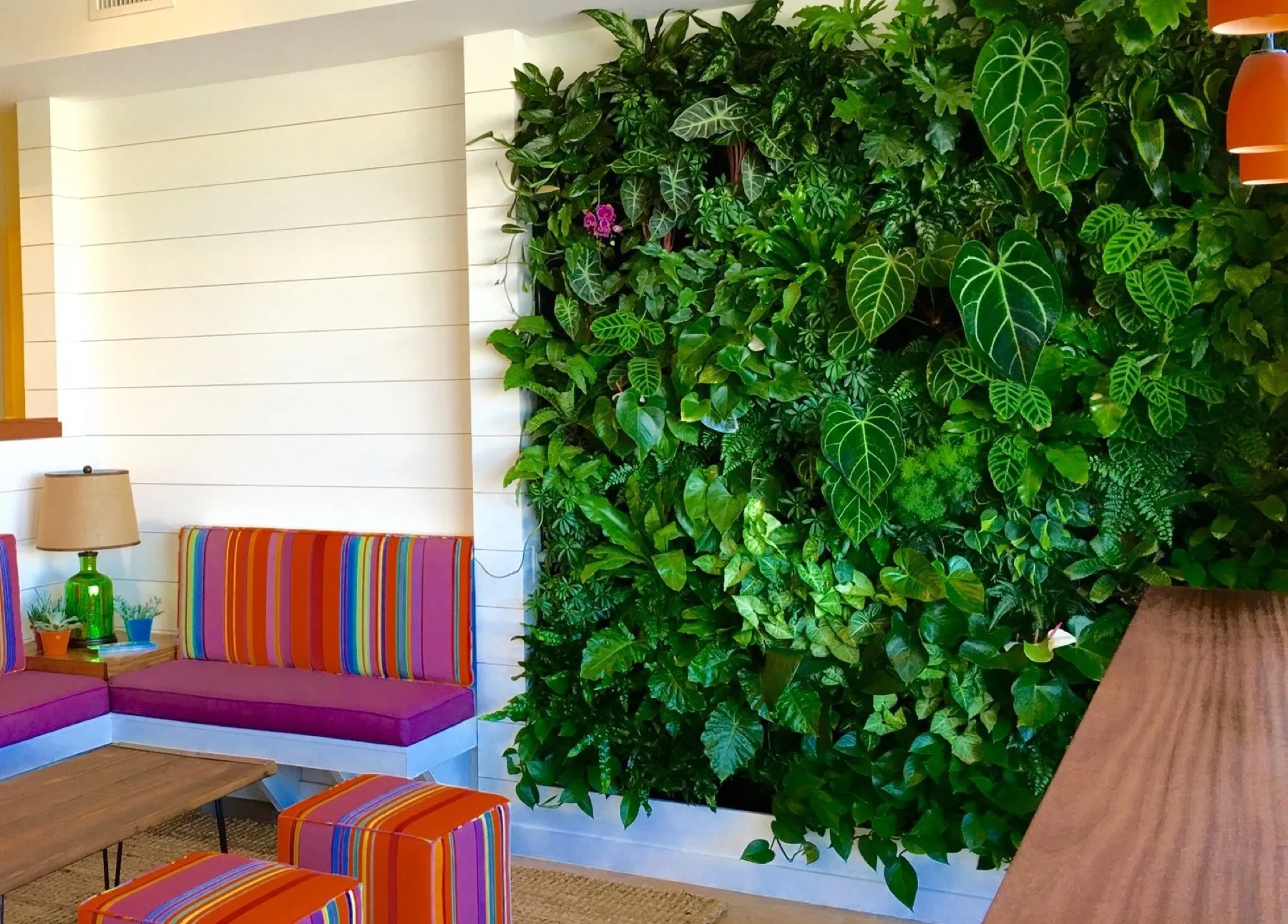 Living Walls collection