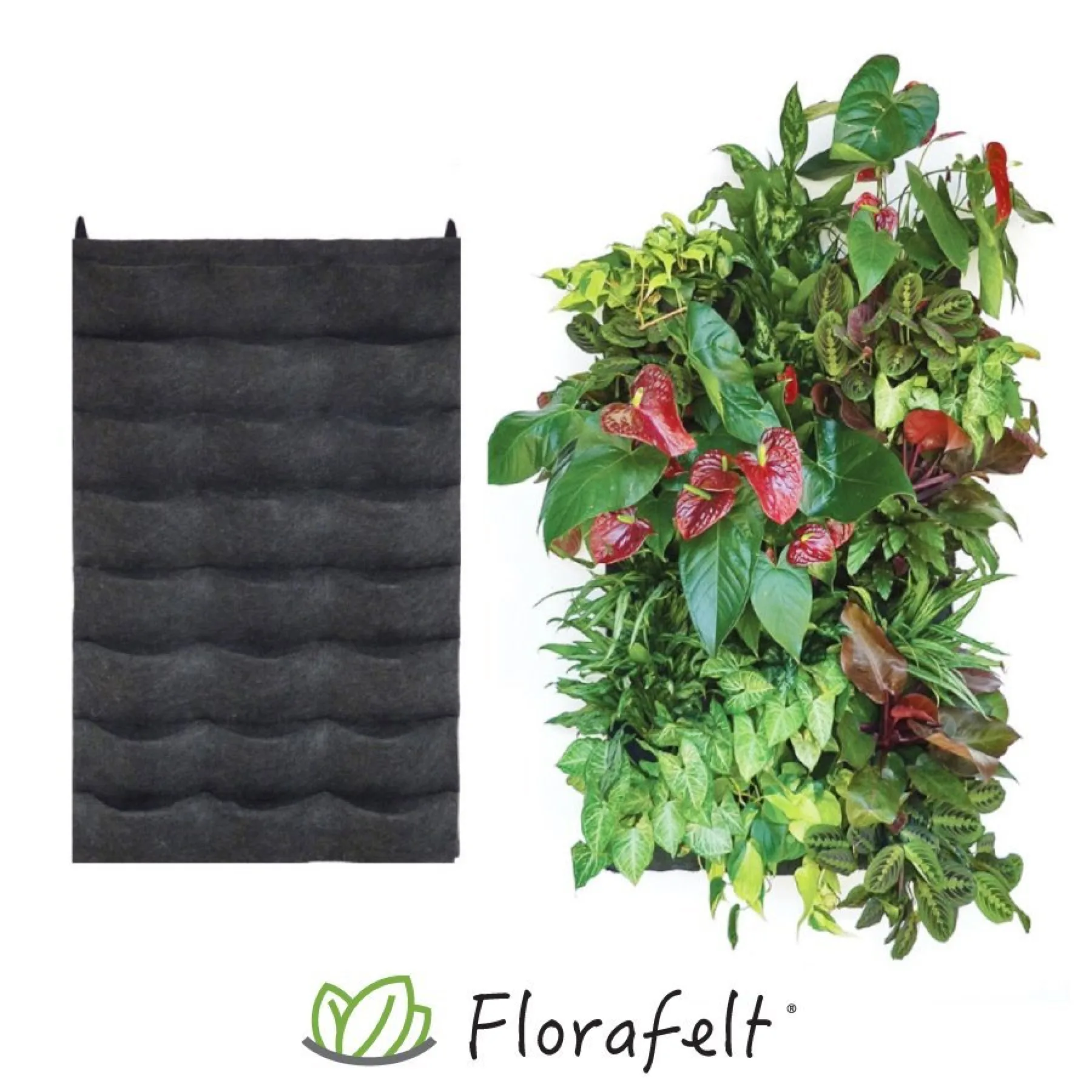 Florafelt 24-Pocket Panel Living Wall System