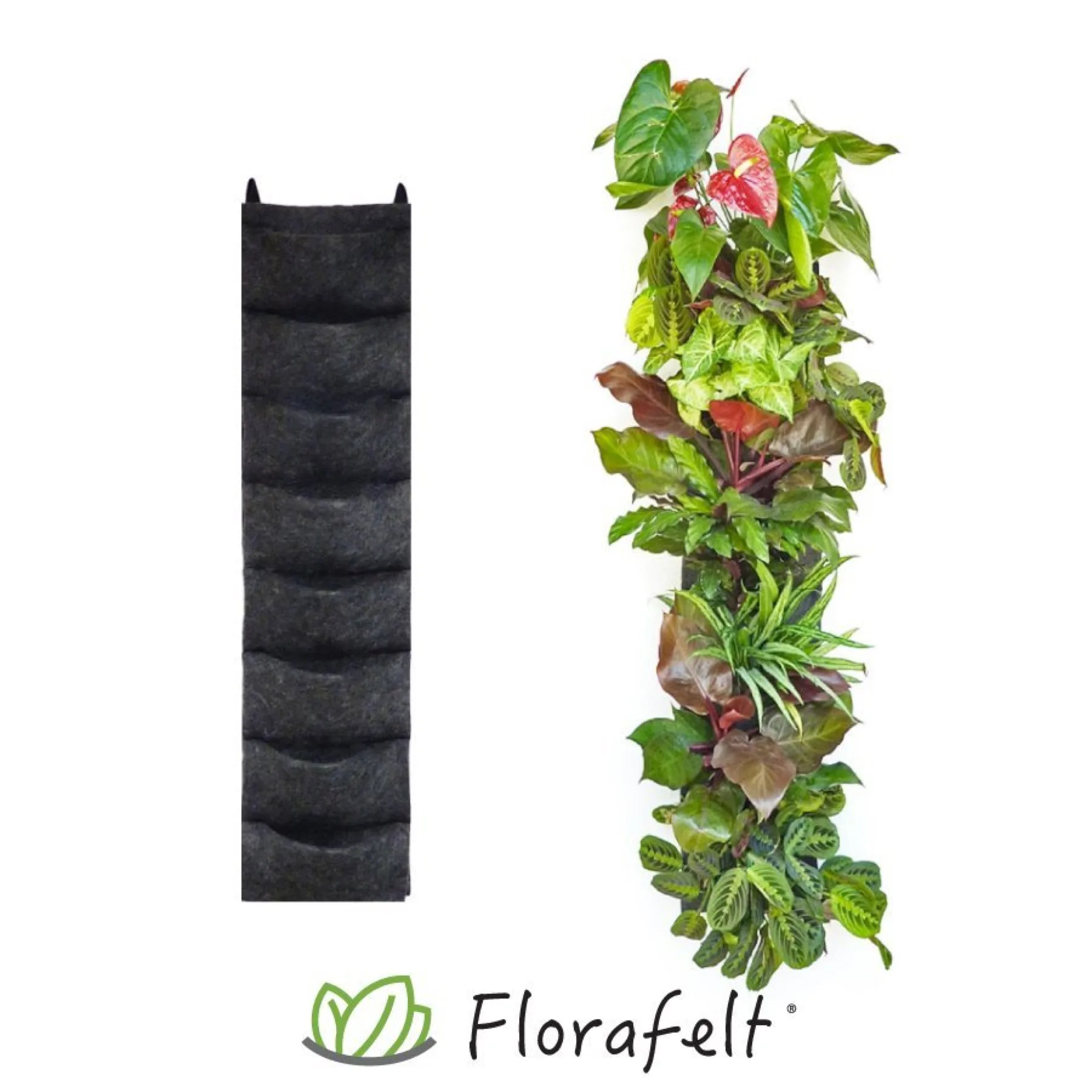 Florafelt 8-Pocket Panel Living Wall System