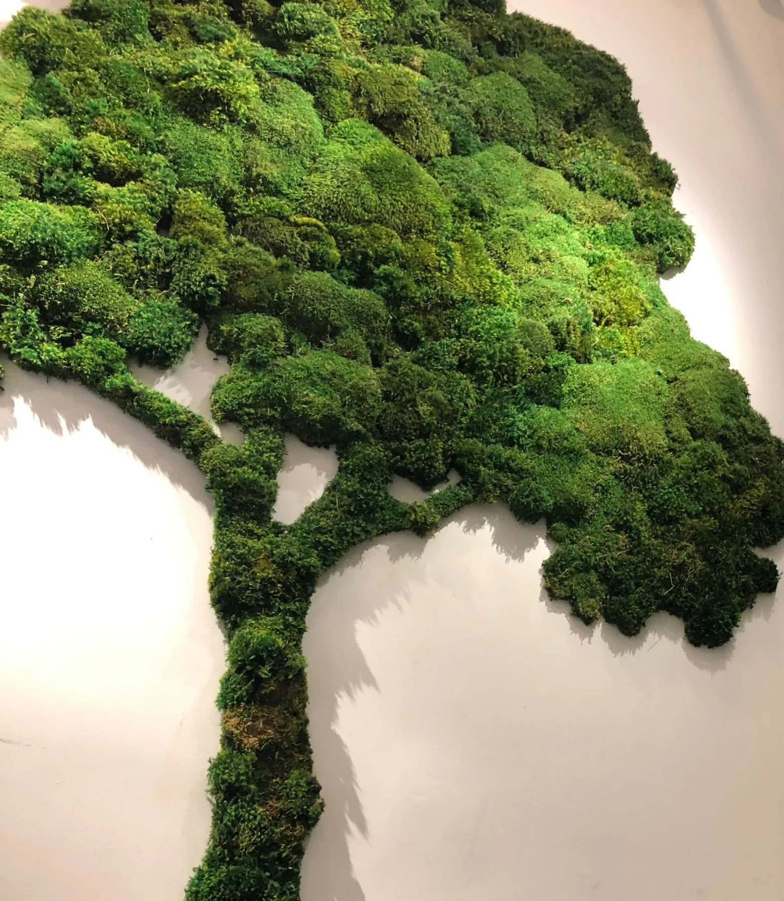 A sculptural preserved-moss wall artwork