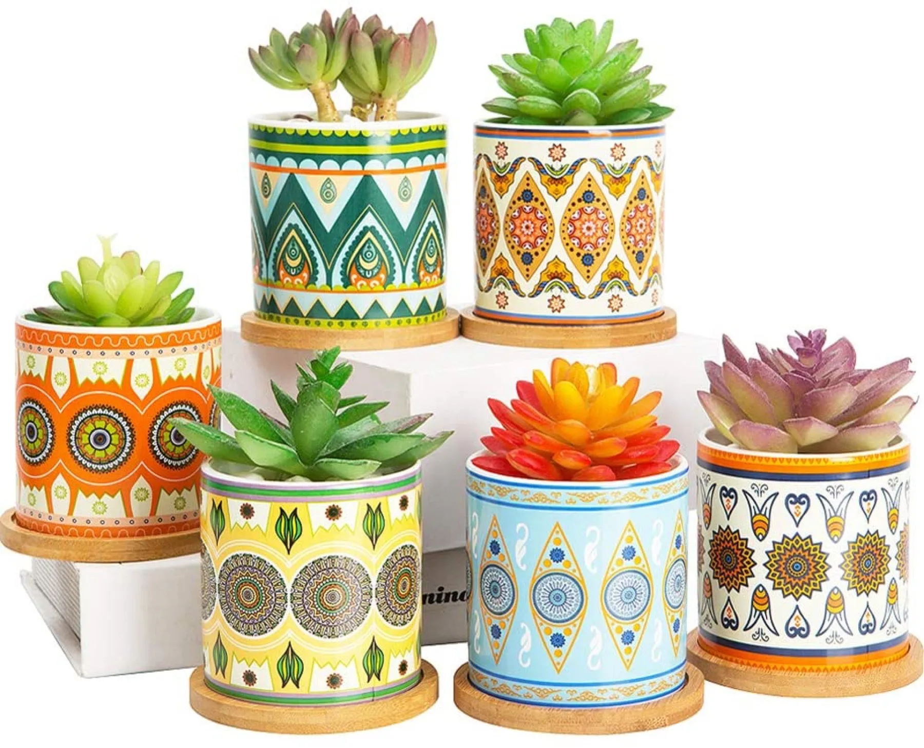 Planters collection