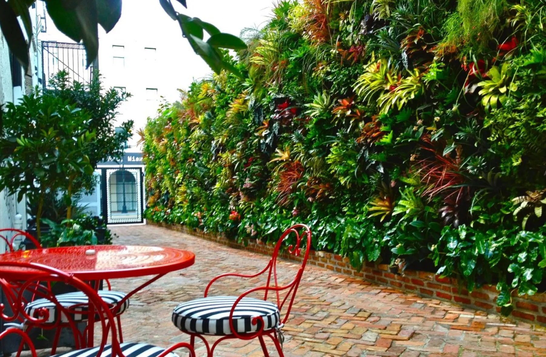 A lush living green wall lining an intimate garden courtyard