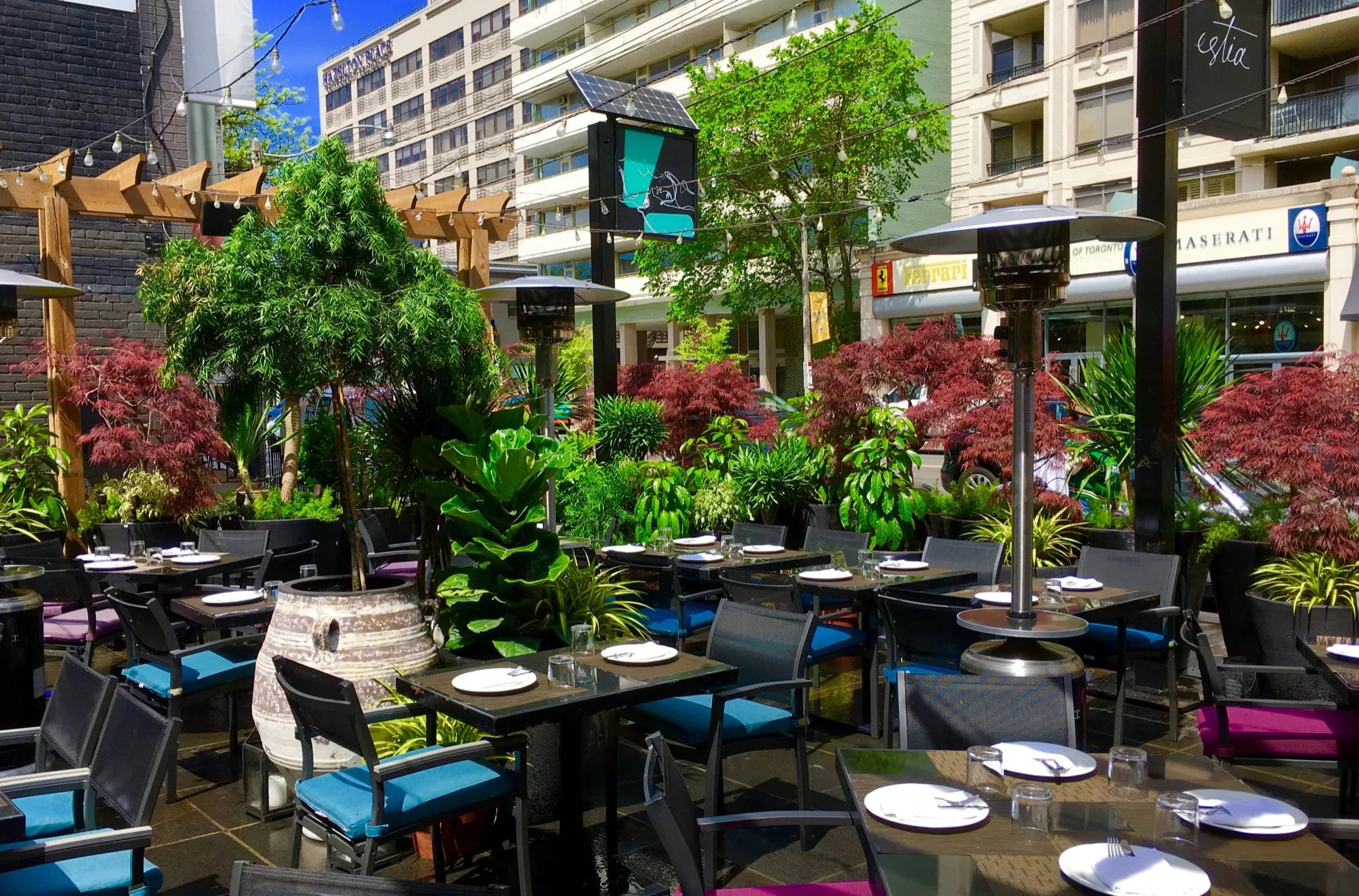 Cafe Garden Terrace by TruVine Design