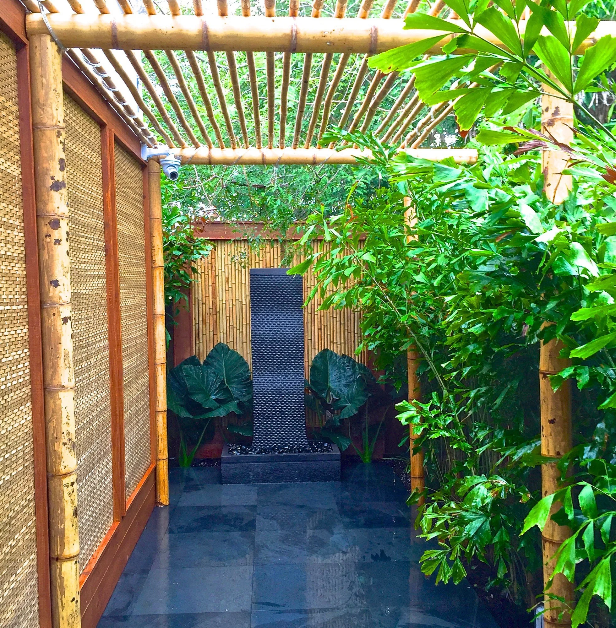 Living Pergola Walkway by TruVine Design