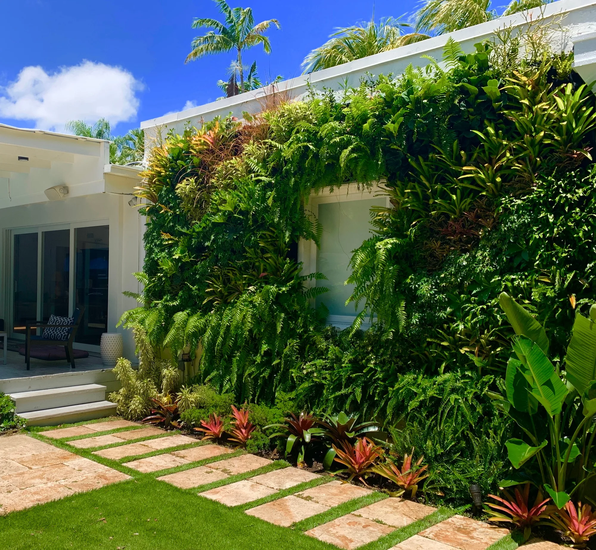 Courtyard Green Wall & Lawn